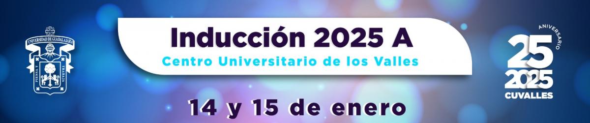  Curso de Inducción 2025 A