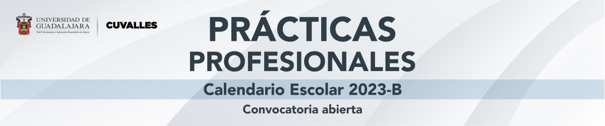 Prácticas Profesionales - Calendario Escolar 2023 B