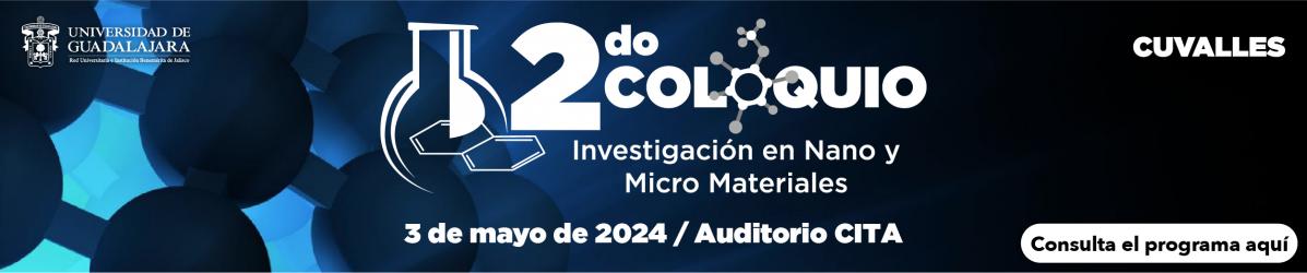2do Coloquio - Investigación en Nano y Micro Materiales