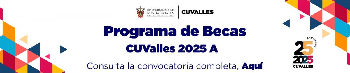 Programa Becas 2025A